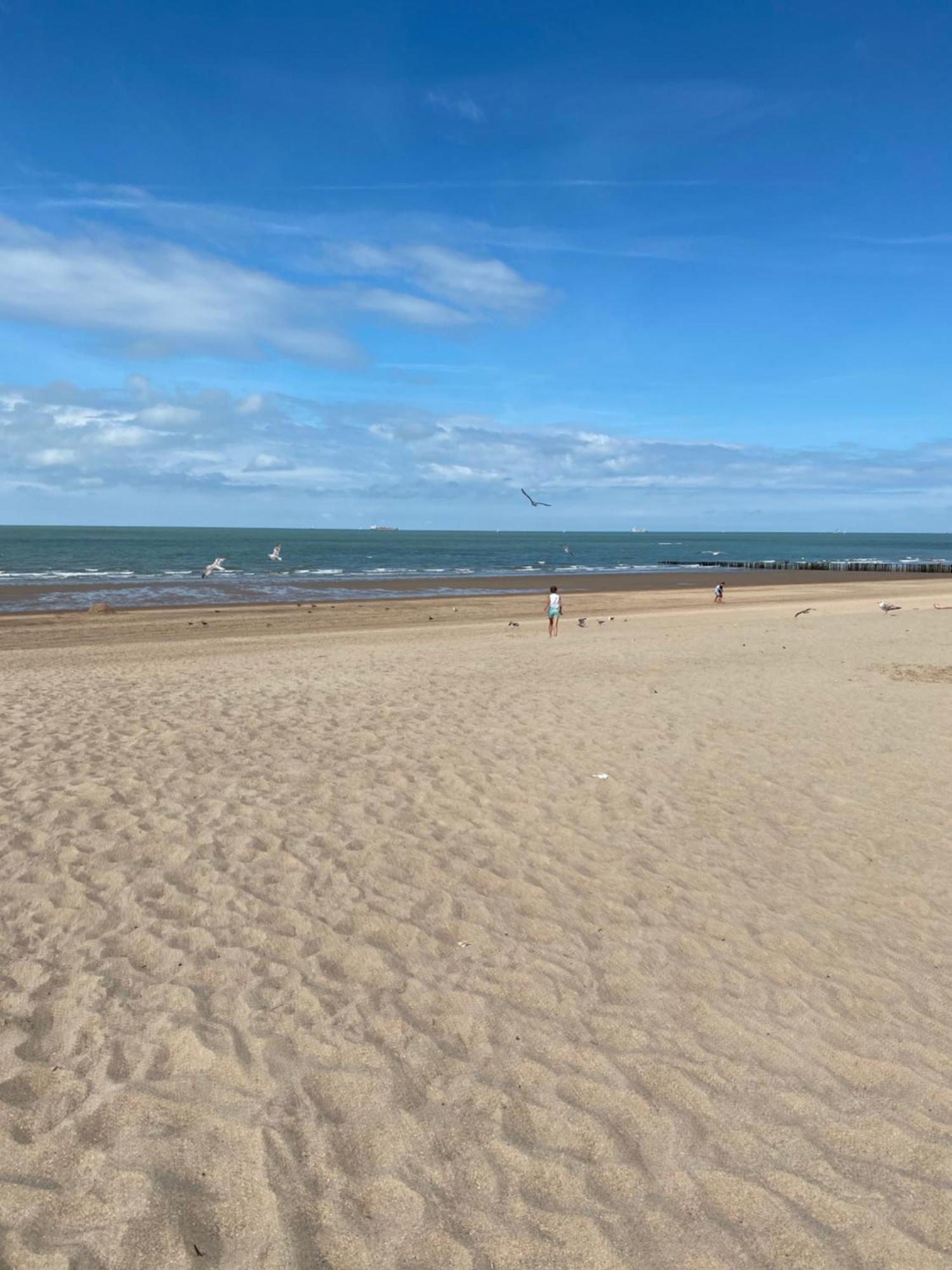 Tof En Ruim Appartement Op 50 Meter Van Strand! Knokke-Heist Exterior foto